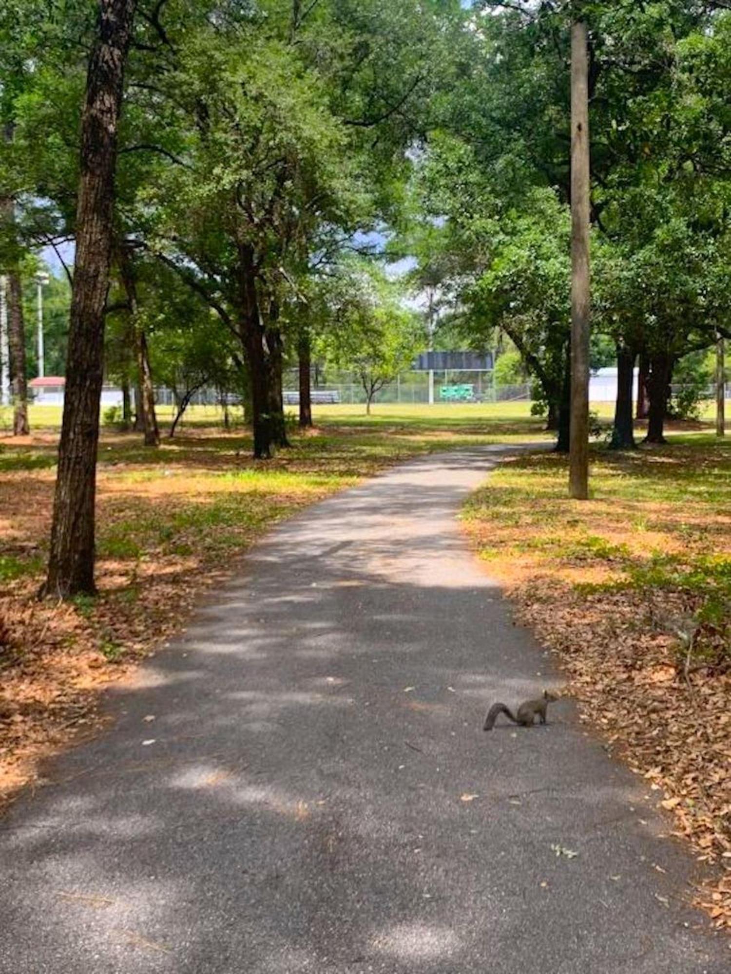 Private Home In Ocala With Fenced Yard, Piano, Central Location, Pets Welcome Kültér fotó